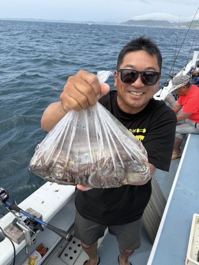 ムギイカ(スルメイカ)