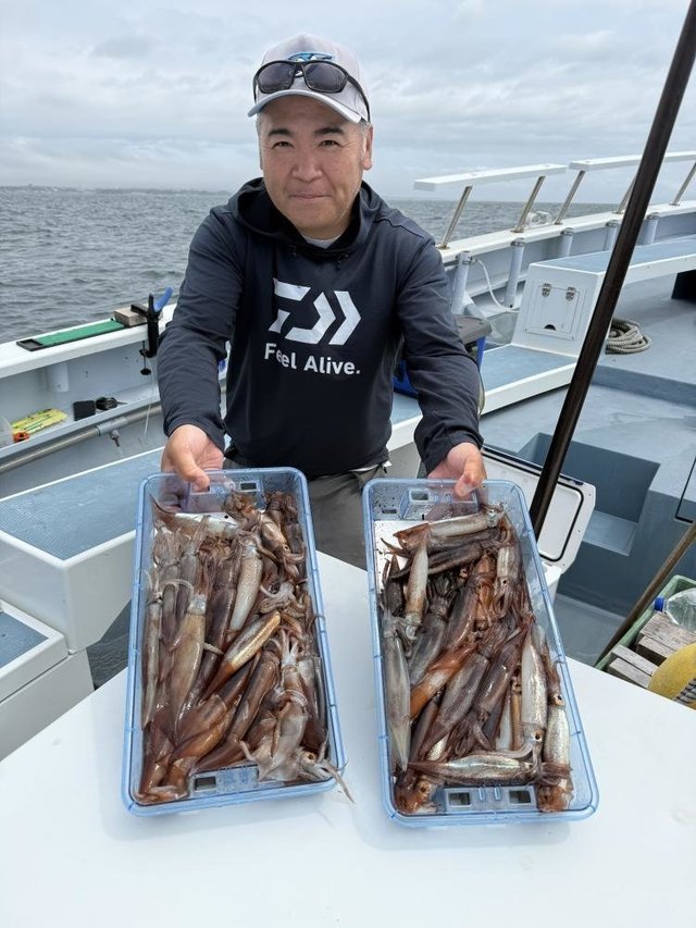 ムギイカ(スルメイカ)