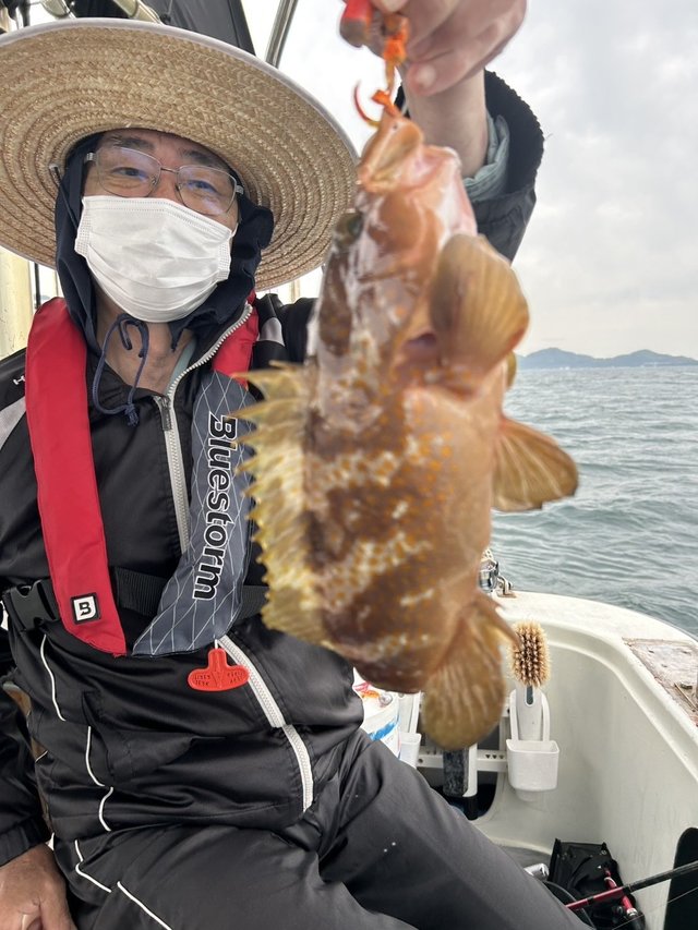 アコウ(キジハタ)