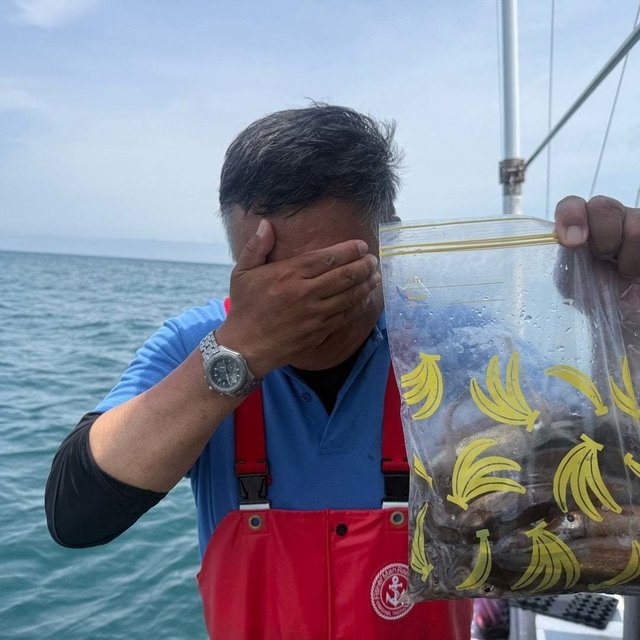 ムギイカ(スルメイカ)