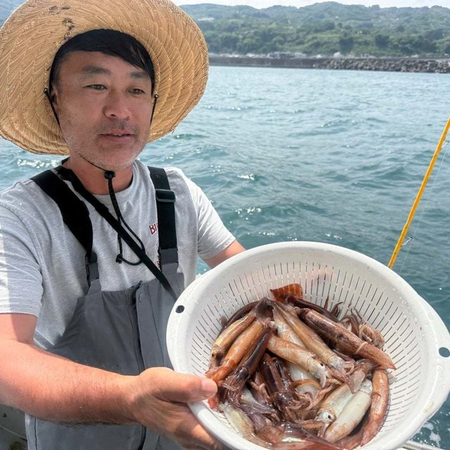 ムギイカ(スルメイカ)