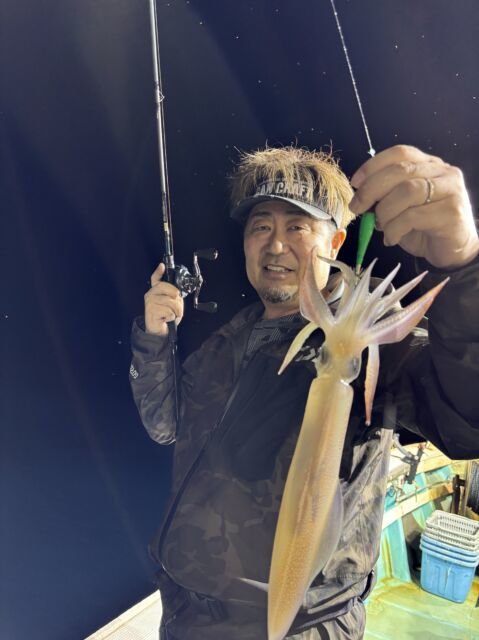 マイカ(ケンサキイカ)