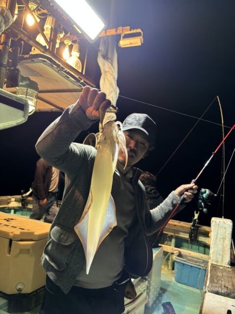 マイカ(ケンサキイカ)