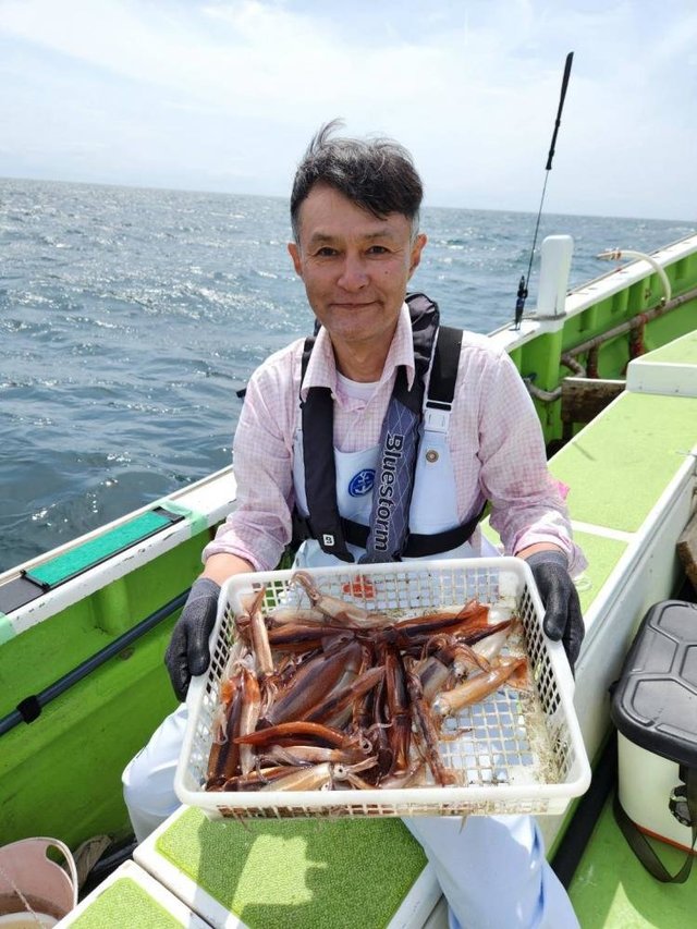 ムギイカ(スルメイカ)