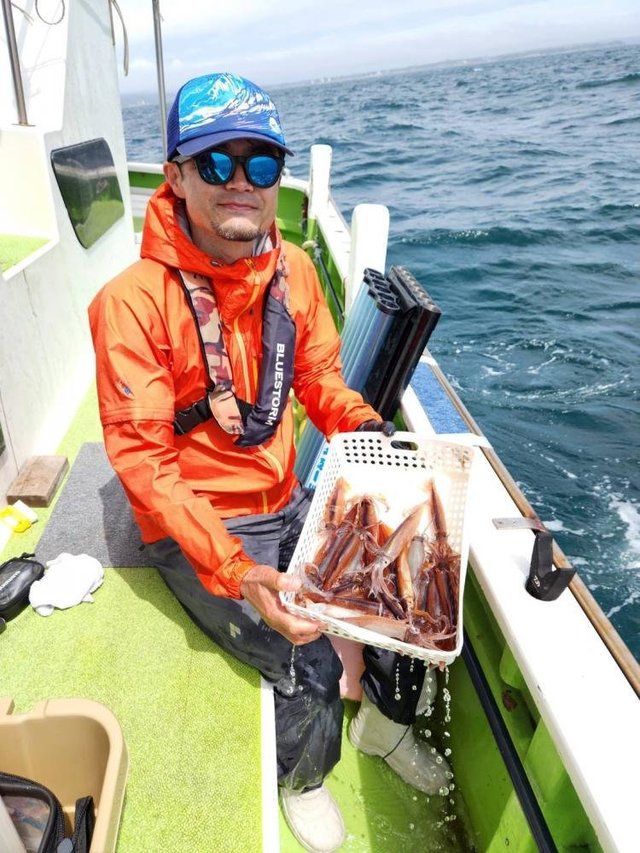 ムギイカ(スルメイカ)