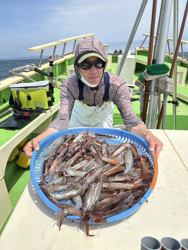 ムギイカ(スルメイカ)