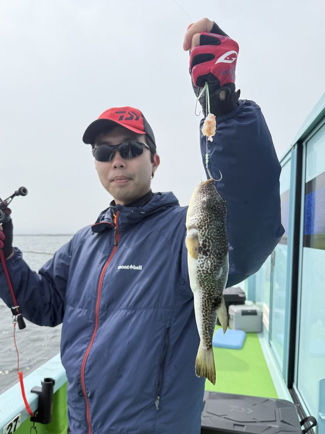 フグ(ショウサイフグ)