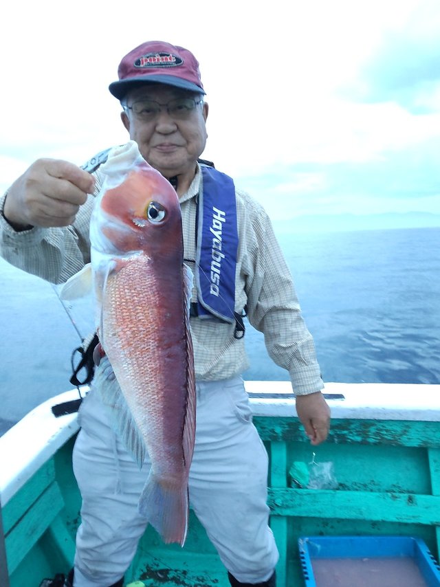 アマダイ(アカアマダイ)