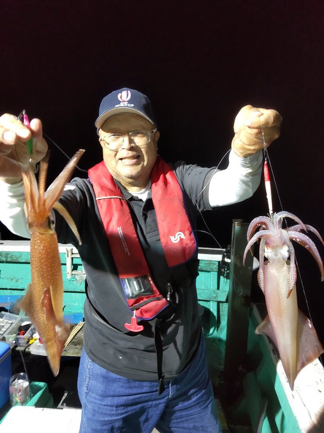 シロイカ(ケンサキイカ)