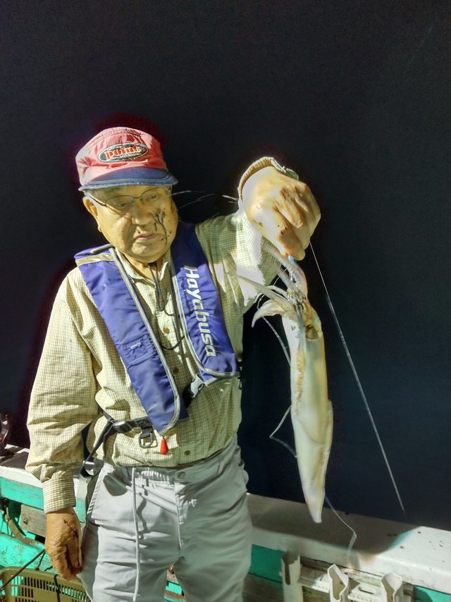 シロイカ(ケンサキイカ)