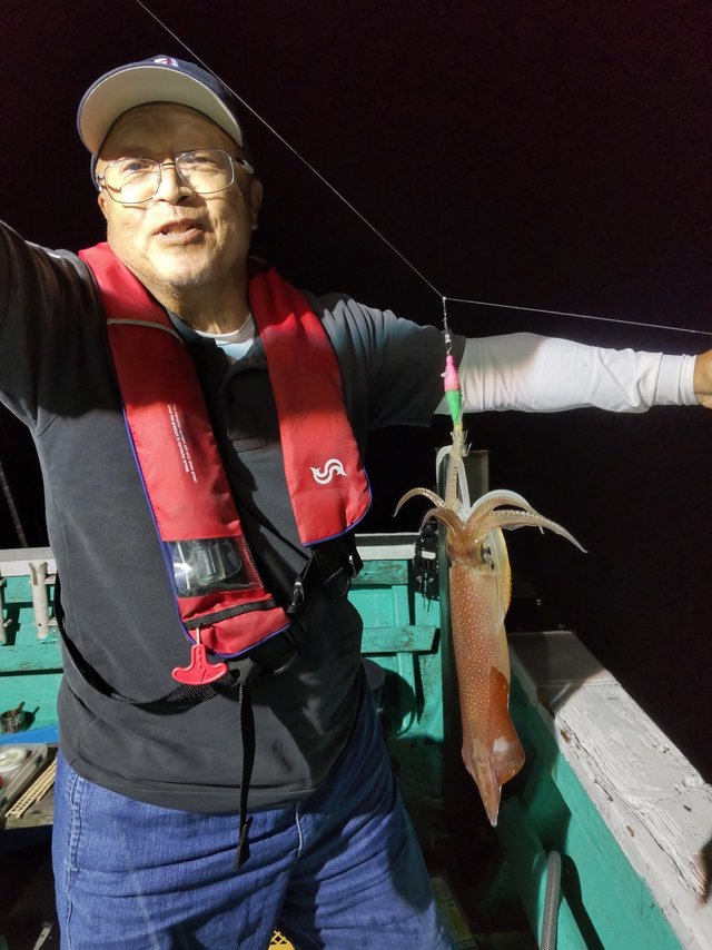 シロイカ(ケンサキイカ)