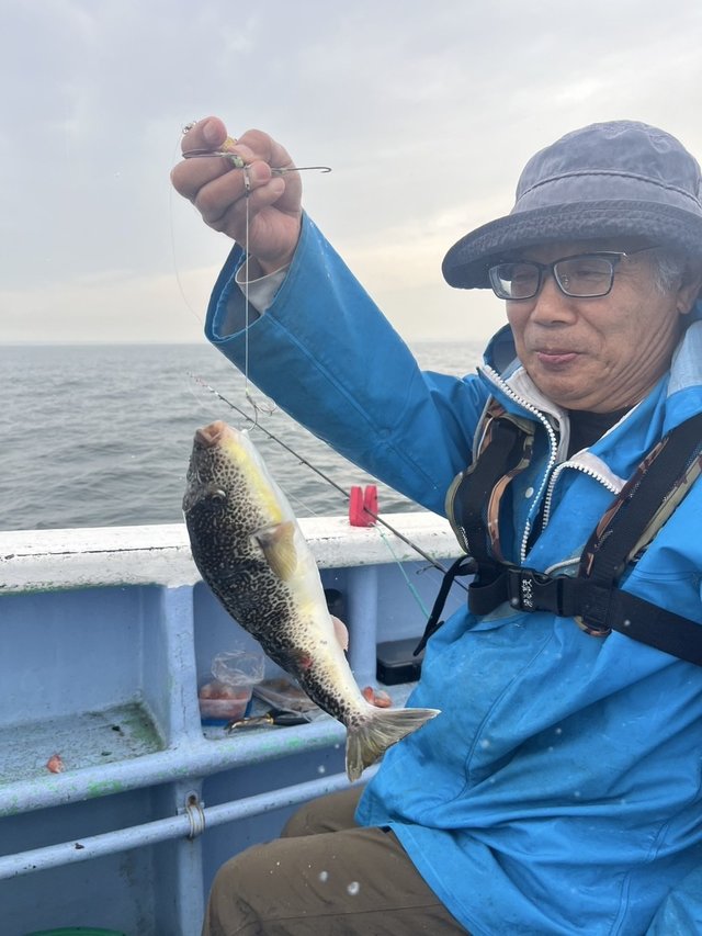 ショウサイフグ