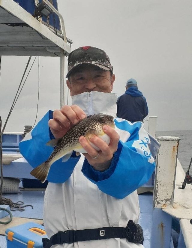 ショウサイフグ