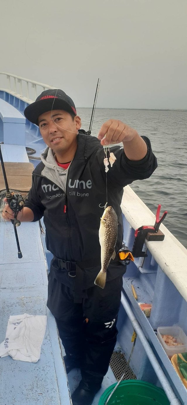 ショウサイフグ