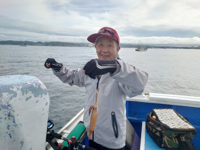 ムギイカ(スルメイカ)