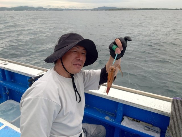 ムギイカ(スルメイカ)