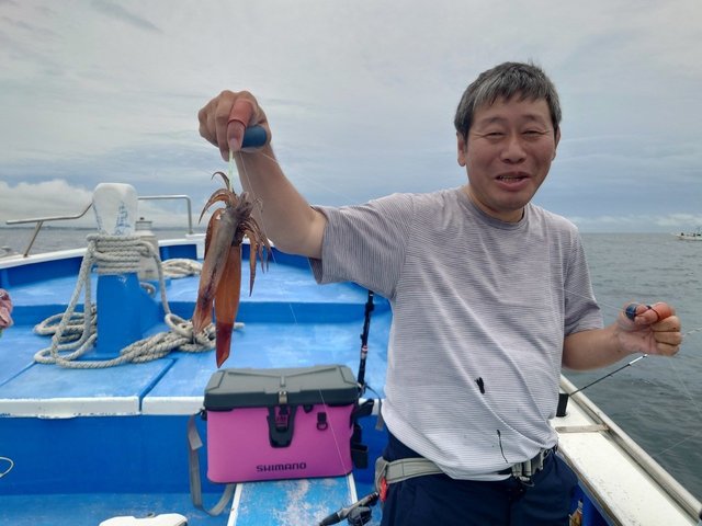 ムギイカ(スルメイカ)