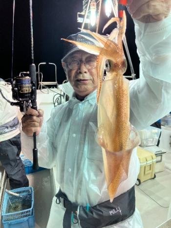 マイカ(ケンサキイカ)