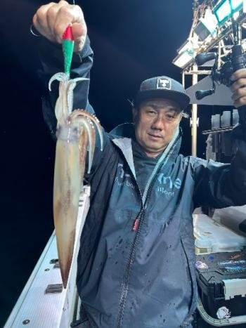 マイカ(ケンサキイカ)