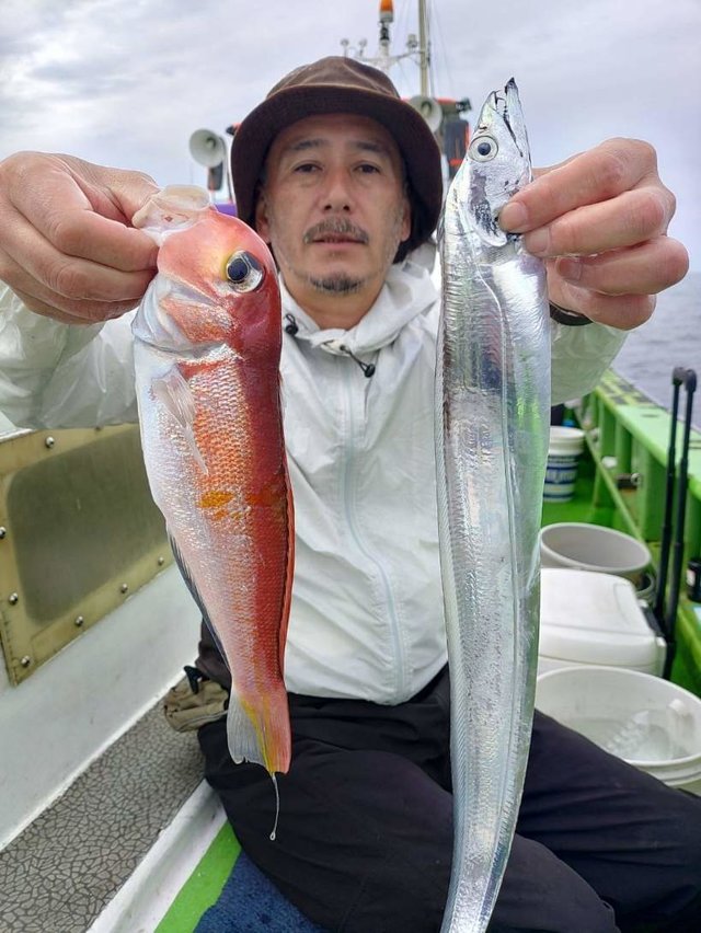 アマダイ(アカアマダイ)・タチウオ