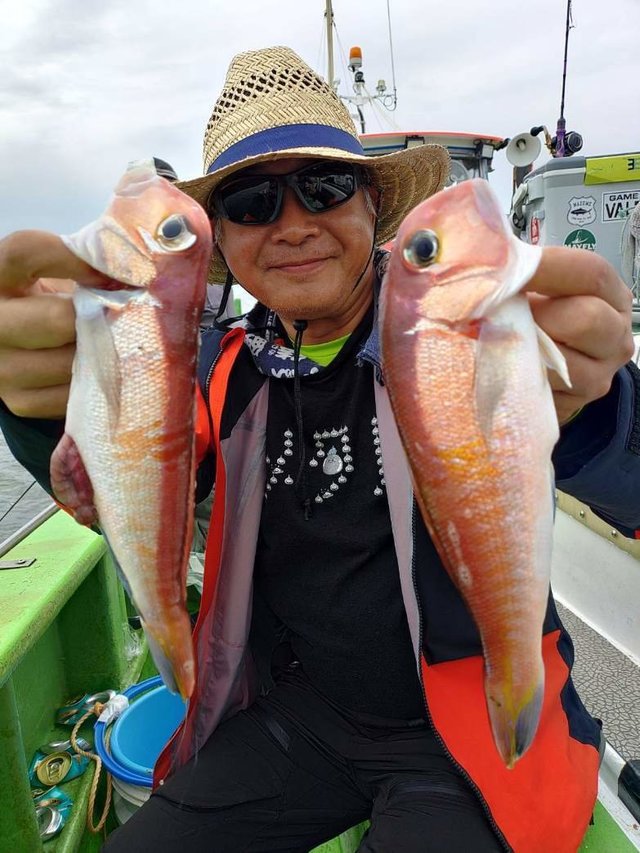 アマダイ(アカアマダイ)