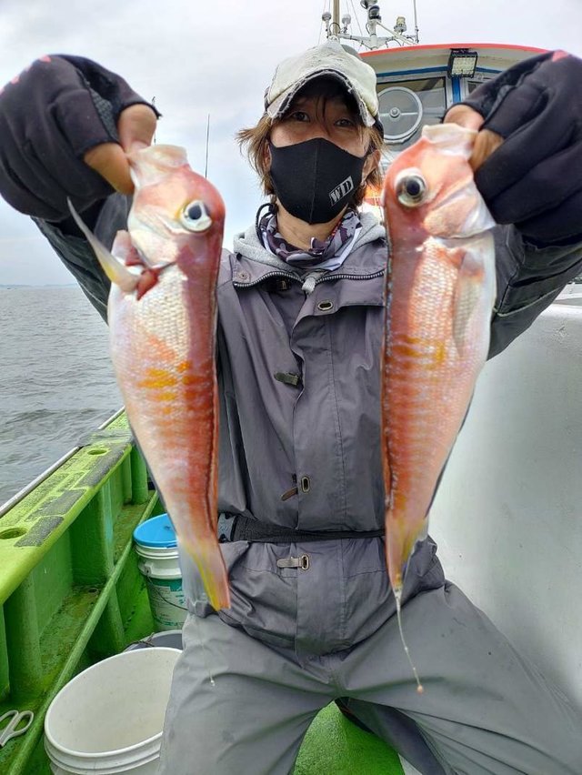 アマダイ(アカアマダイ)