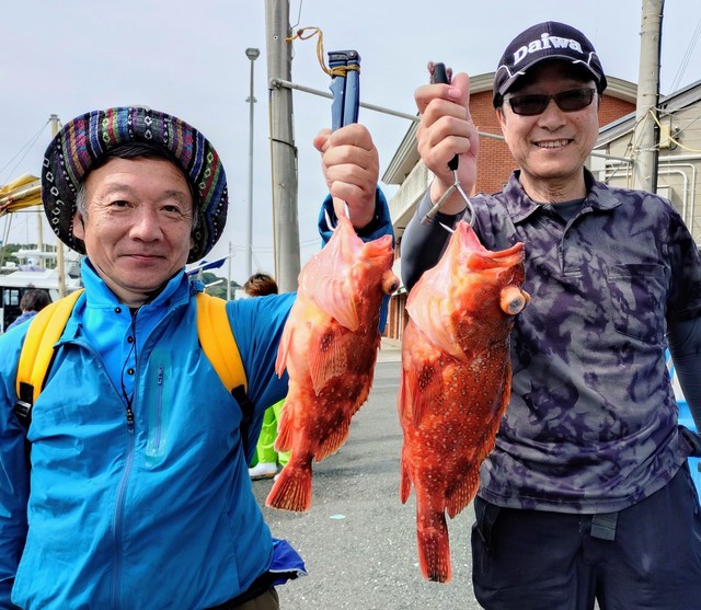 カンコ(ウッカリカサゴ)