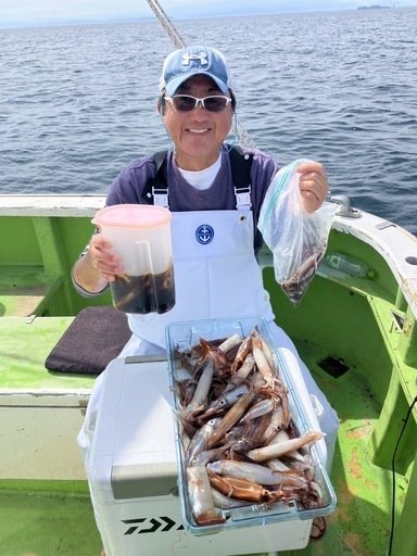 ムギイカ(スルメイカ)