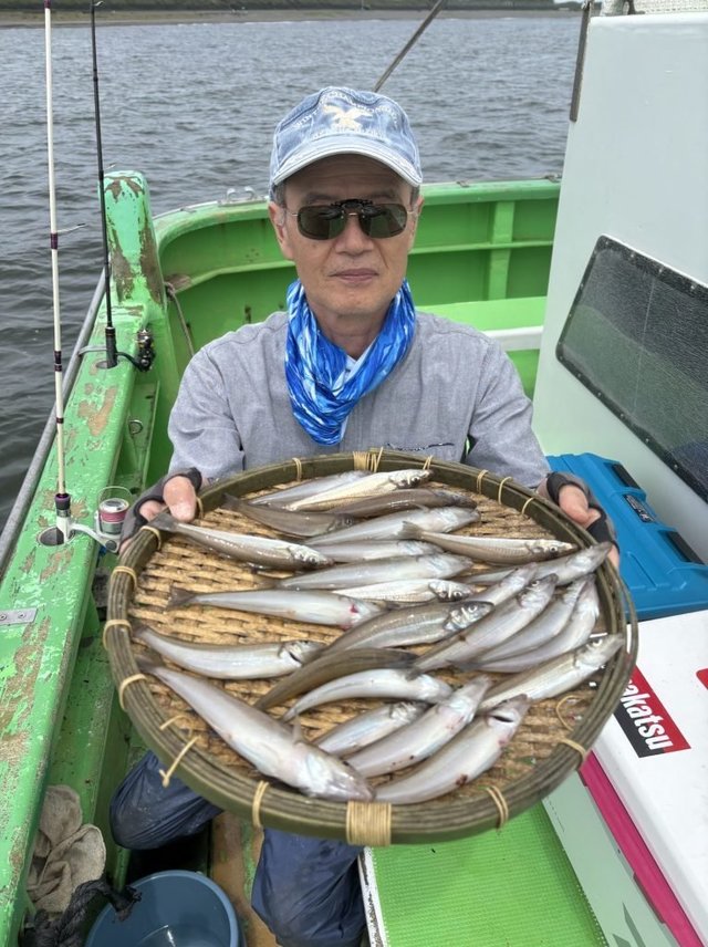 キス(シロギス)