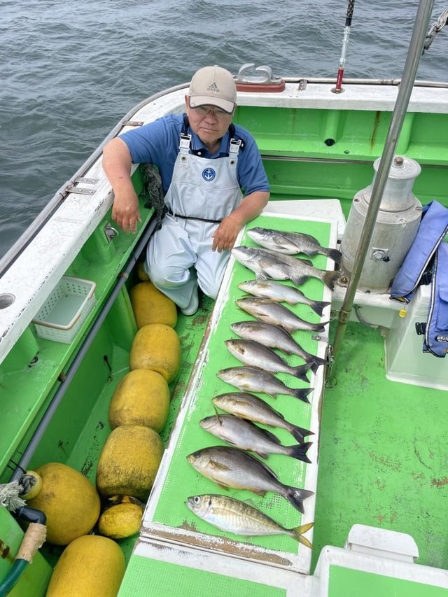 クロダイ・アジ(マアジ)・イサキ