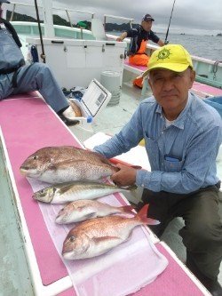 マダイ・アジ(マアジ)