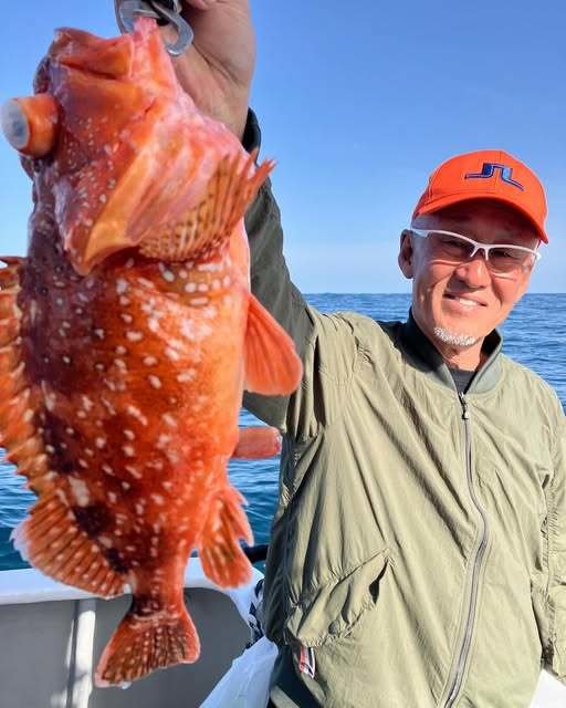 ウッカリカサゴ