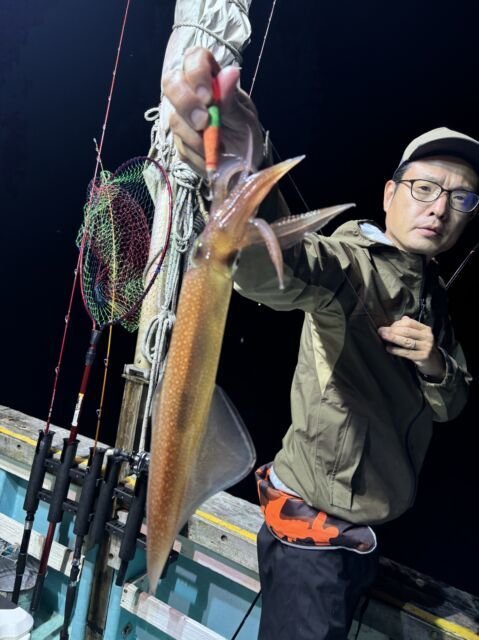 マイカ(ケンサキイカ)