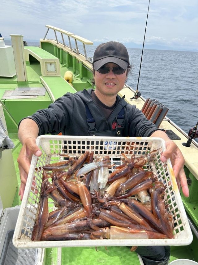 ムギイカ(スルメイカ)