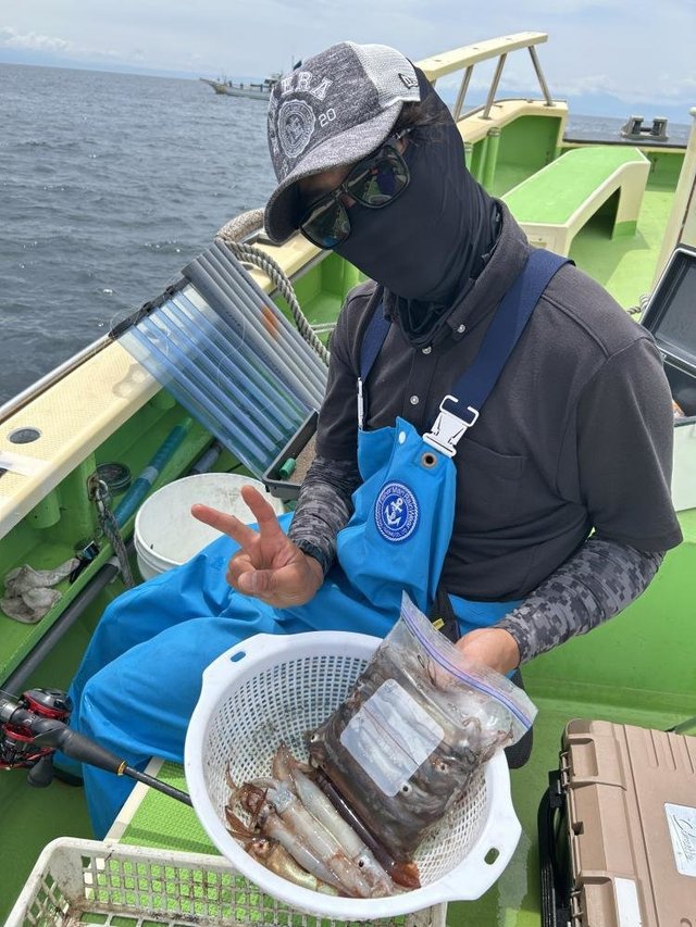 ムギイカ(スルメイカ)