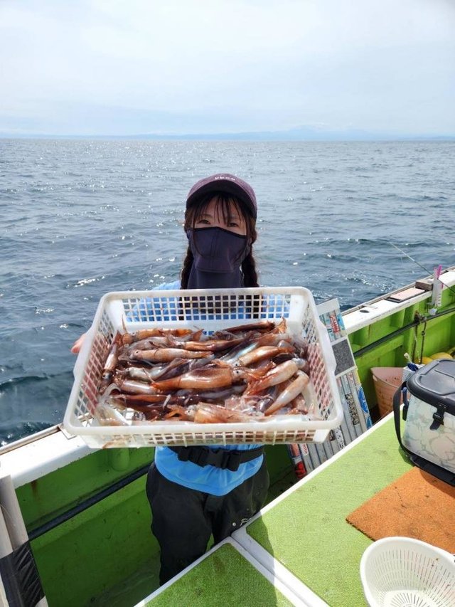 ムギイカ(スルメイカ)