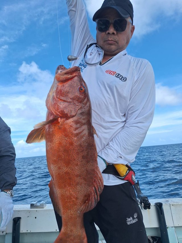 アカジン(スジアラ)