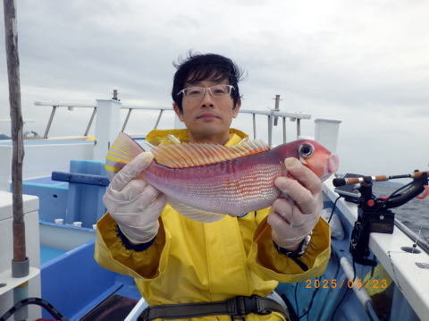 アマダイ(アカアマダイ)