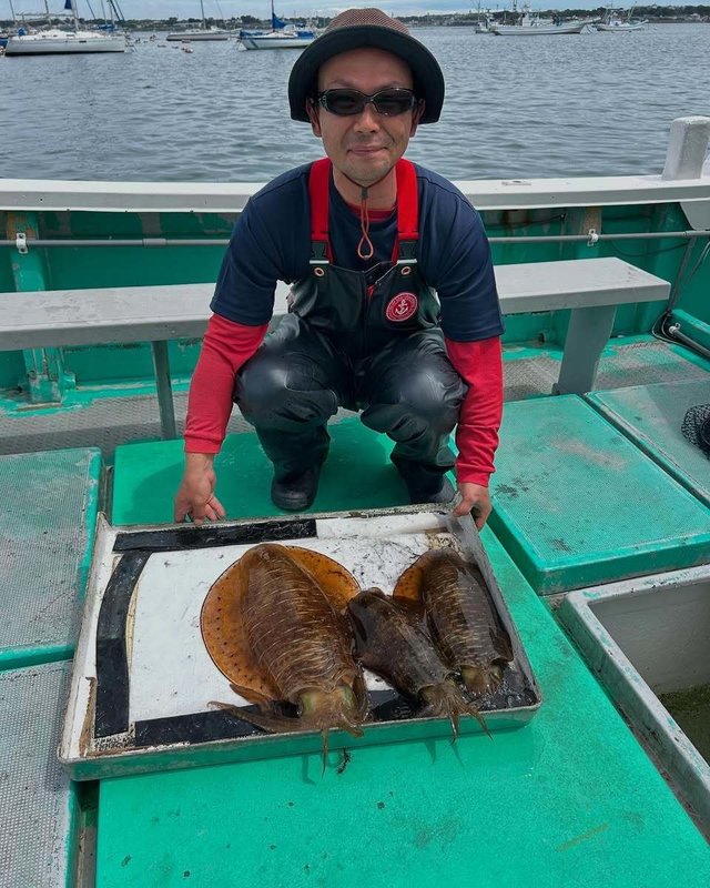 アオリ(アオリイカ)