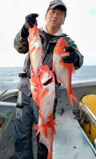 キンメ(キンメダイ)