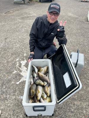 イサギ(イサキ)