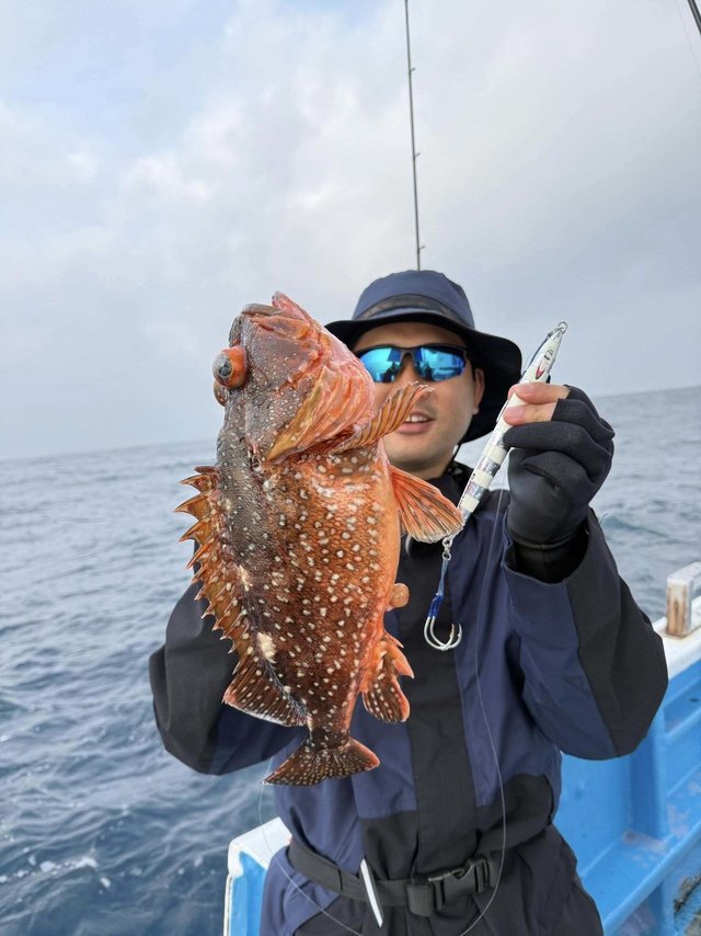 ウッカリカサゴ