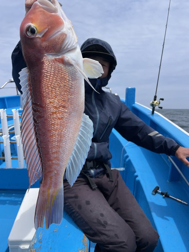 アマダイ(アカアマダイ)