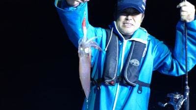 マイカ(ケンサキイカ)