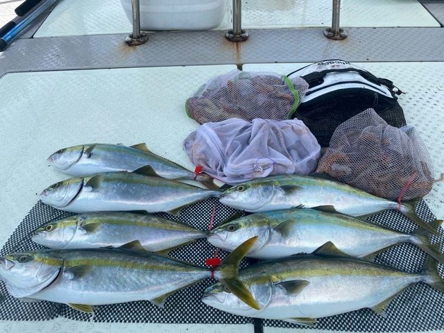 ハマチ(ブリ)・タコ(マダコ)