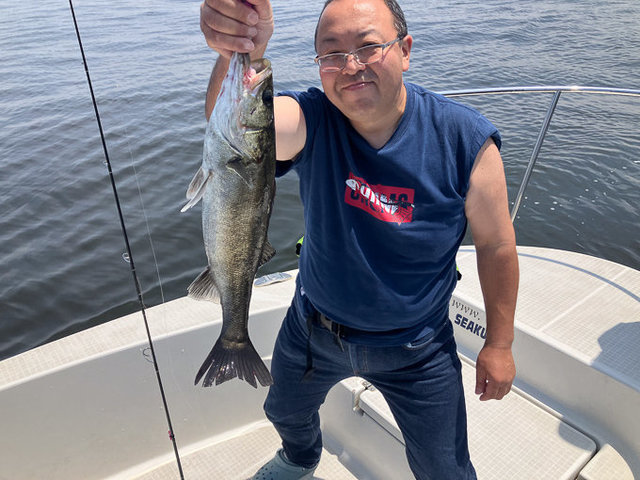 シーバス(スズキ)