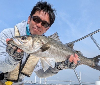 シーバス(スズキ)