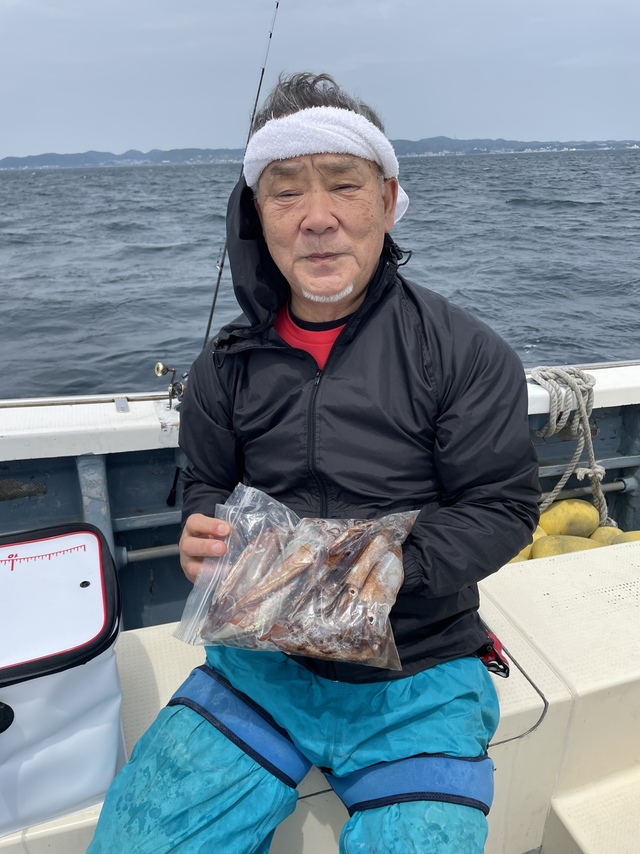 ムギイカ(スルメイカ)