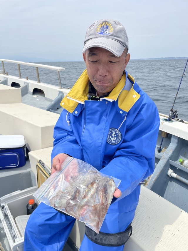 ムギイカ(スルメイカ)