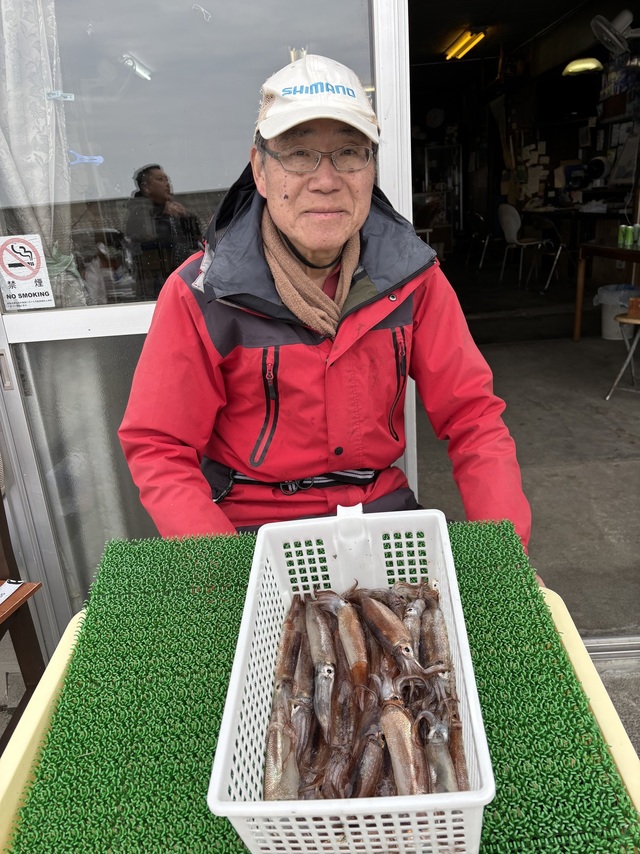 ムギイカ(スルメイカ)